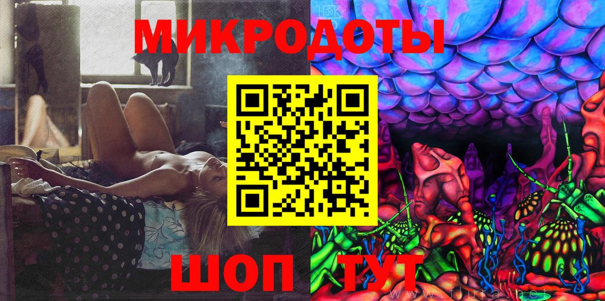 Псилоцибиновые грибы Psilocybine cubensis Лесосибирск