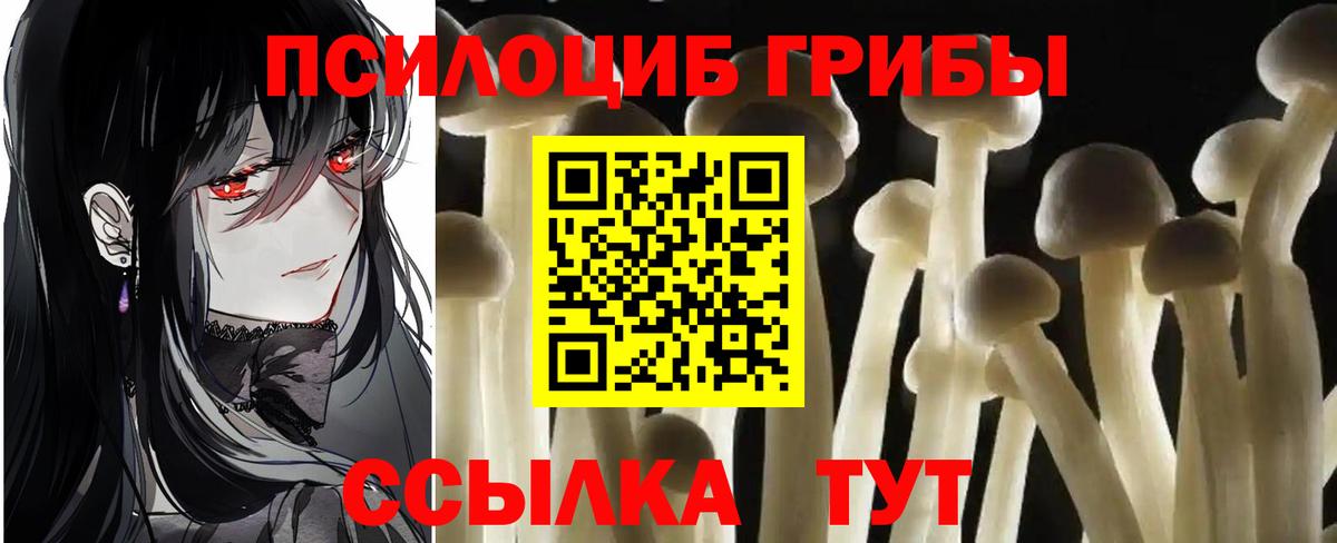 Лесосибирск  Галлюциногенные грибы ЛСД  Псилоцибиновые грибы прущие грибы  Вход с VPN 